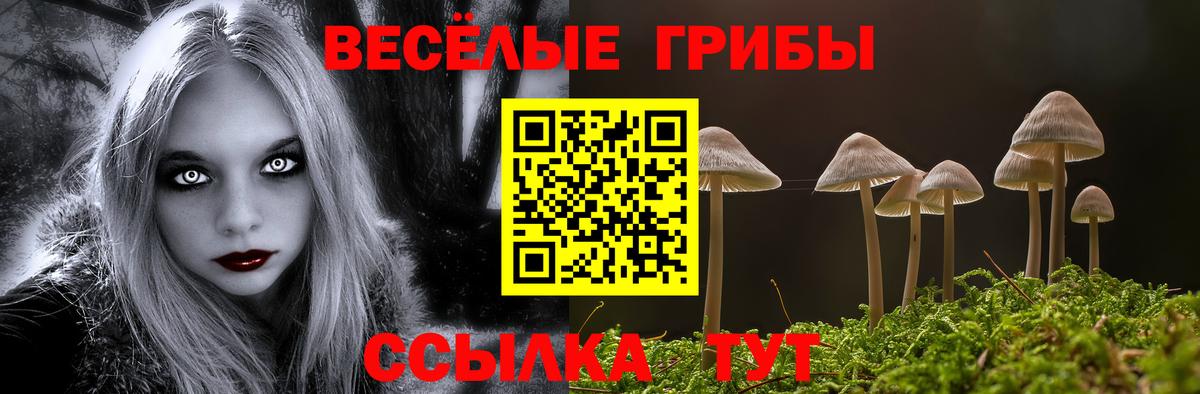 Красноуфимск  даркнет сайт  Вход с VPN  Псилоцибиновые грибы Psilocybe 